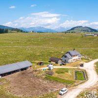 Malga Marcesina - II lotto