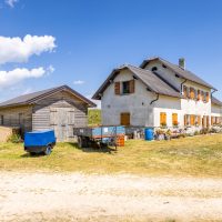 Malga Marcesina - II lotto