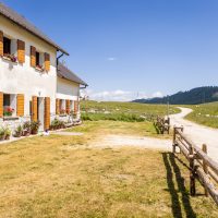 Malga Marcesina - II lotto