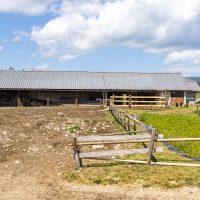 Malga Marcesina - II lotto