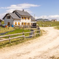 Malga Marcesina - II lotto