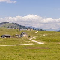 Malga Marcesina - II lotto