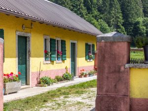 Malga Mosche Ovest
