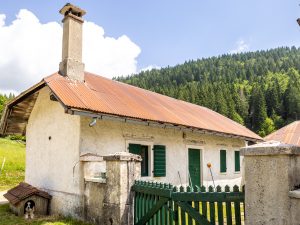 Malga Mosche Est
