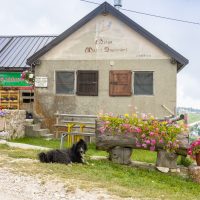 Malga Mazze Superiori