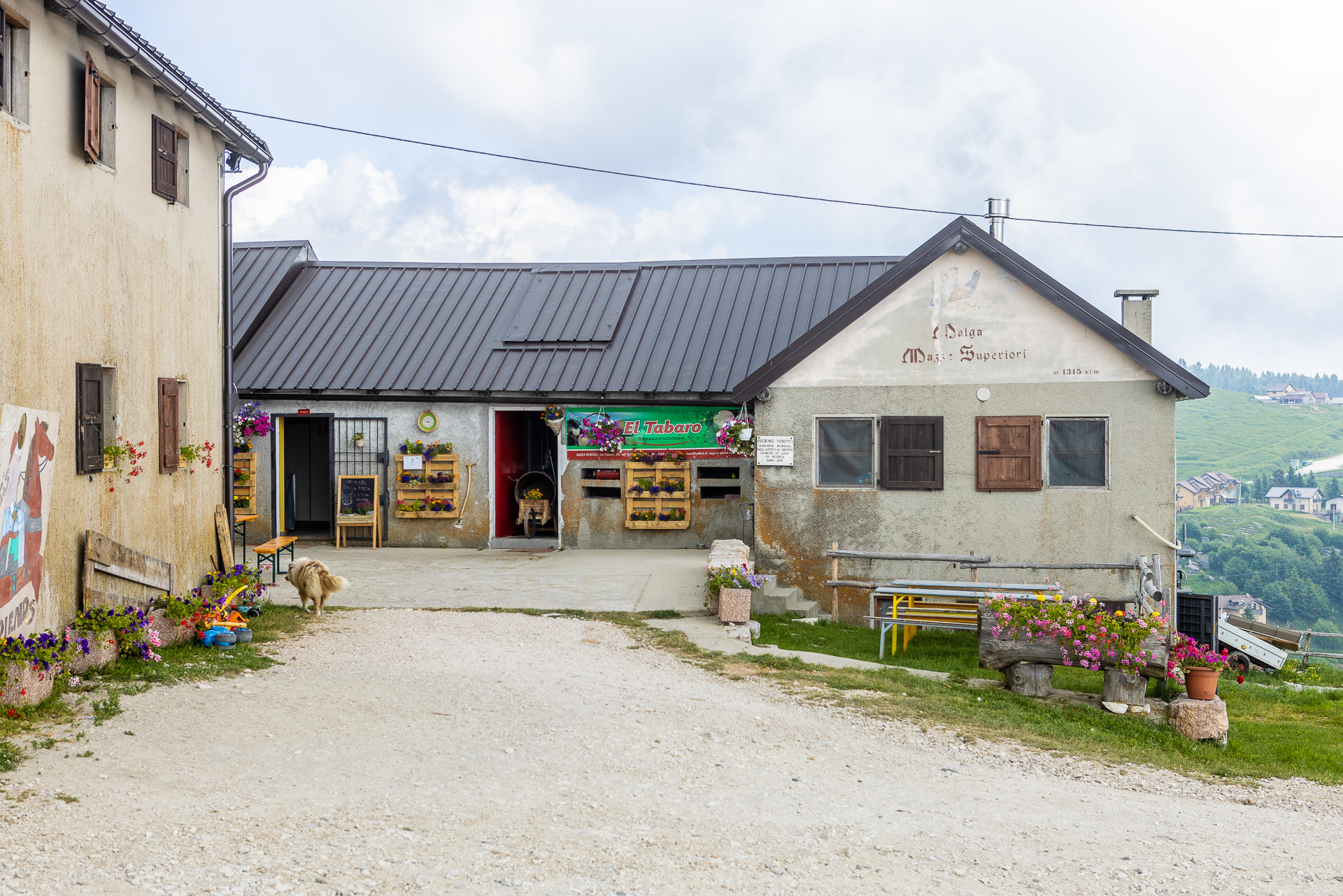 Malga Mazze Superiori