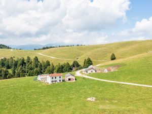 Malga Montagna Nuova davanti
