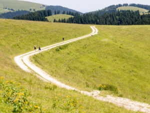 Lungo la dorsale di Longara - Along the ridge of Longara - Auf dem Bergrücken von Longara