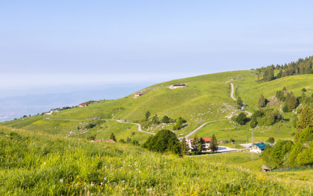 Tra Biancoia e Monte Corno - Between Biancoia and Monte Corno - Zwischen Biancoia und Monte Corno