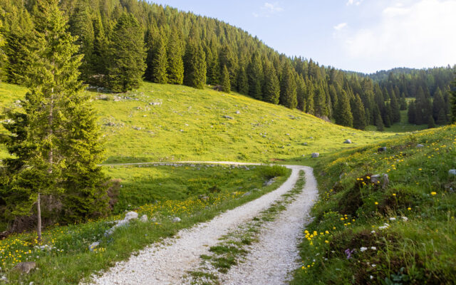 Sulle pendici del Monte Verena - On the slopes of Monte Verena - An den Hängen des Monte Verena