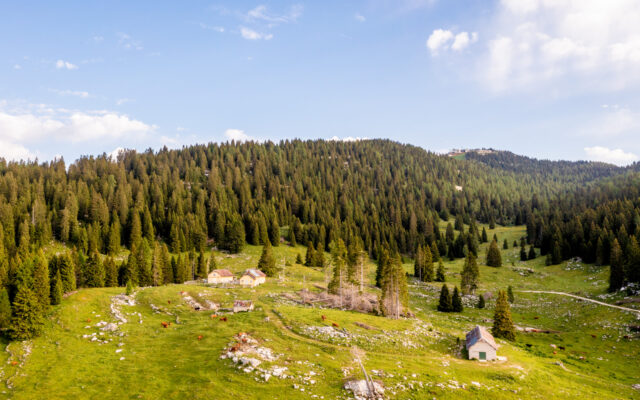 Sulle pendici del Monte Verena - On the slopes of Monte Verena - An den Hängen des Monte Verena