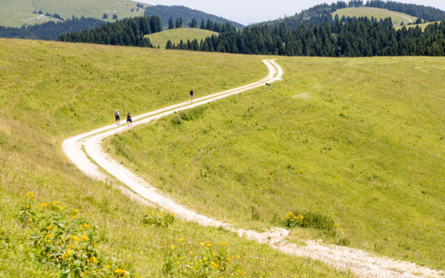 Lungo la dorsale di Longara - Along the ridge of Longara - Auf dem Bergrücken von Longara