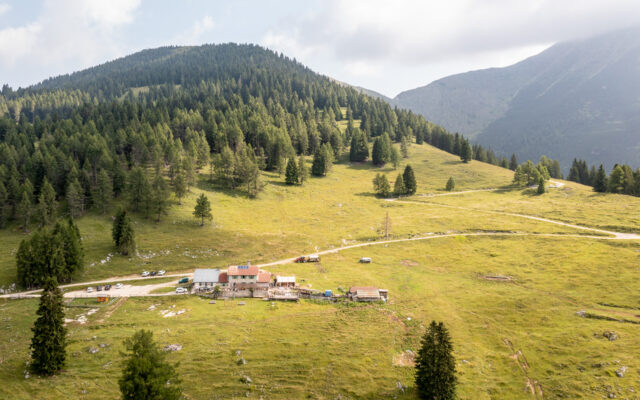 I pascoli alti dei Larici - The high pastures of Larici - Die Hochweiden von Larici